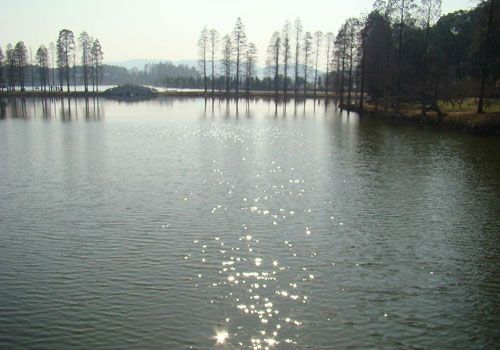 梦见水面 www.haochilao.com.cn
