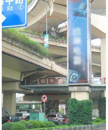 上海高速路的风水玄机 www.haochilao.com.cn