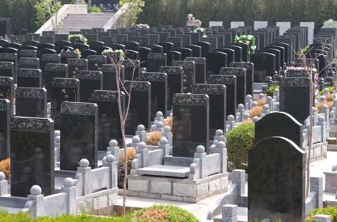 植物与墓地风水之间的关系 www.haochilao.com.cn