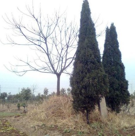 怎样改变墓地风水 www.haochilao.com.cn