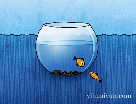 鱼缸的颜色风水 www.haochilao.com.cn