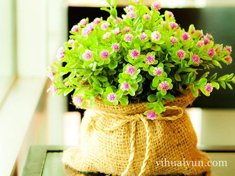 不同年龄段招桃花的风水秘诀 www.haochilao.com.cn