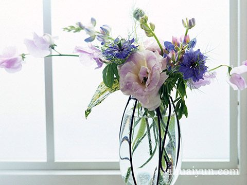 客厅插花风水 www.haochilao.com.cn
