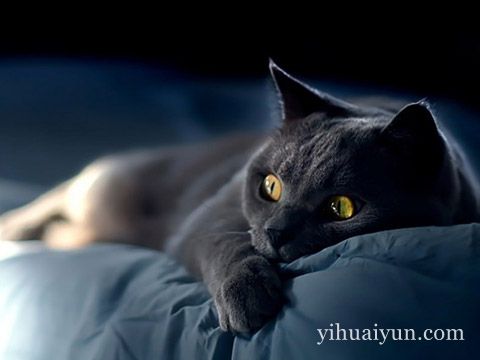 2017年防小人风水布局 www.haochilao.com.cn